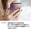 docomo au SoftBank iPhoneX アイフォン テン ケース カバー 背面 ガラス TPU デザイン 【 VA824 魅惑の蝶とピンクのバラ 】 印刷 光沢 メール便送料無料 2