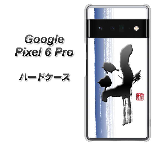 Google Pixel 6 Pro n[hP[X Jo[ yOE829 l UV fރNAz