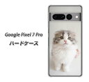 Google Pixel 7 Pro ハードケース / カバー【VA803 まっていますネコ 素材クリア】 UV印刷 ★高解像度版(グーグルピクセル7プロ/PIXEL7P/スマホケース)