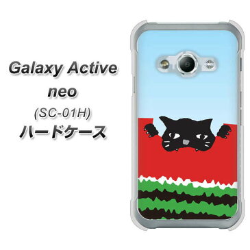 Galaxy Active neo SC-01H ハードケース / カバー【IA815 すいかをかじるネコ(大) 素材クリア】★高解像度版(ギャラクシーアクティブネオ SC-01H/SC01H/スマホケース)