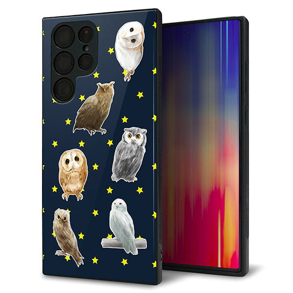 docomo Galaxy S22 Ultra SC-52C ケース カバー 背面 ガラス TPU デザイン ガラプリ 【HA276 フクロウいろいろ】 印刷 光沢 MMLM