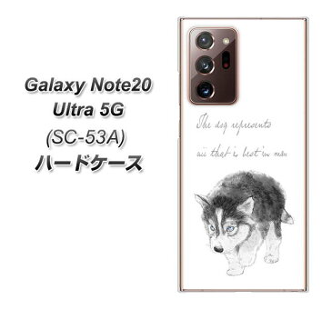 docomo Galaxy Note20 Ultra 5G SC-53A ハードケース カバー 【YJ194 ハスキー 犬 イラスト かわいい UV印刷 素材クリア】