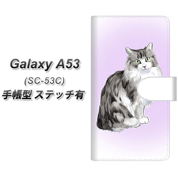 docomo Galaxy A53 5G SC-53C 蒠^ X}zP[X Jo[ yXeb`^CvzyYG905 mEF[WtHXgLbg01 UVz