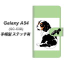 docomo Galaxy A54 5G SC-53D 蒠^ X}zP[X Jo[ yXeb`^CvzyYD888 LoALO`[YXpjG04 UVz