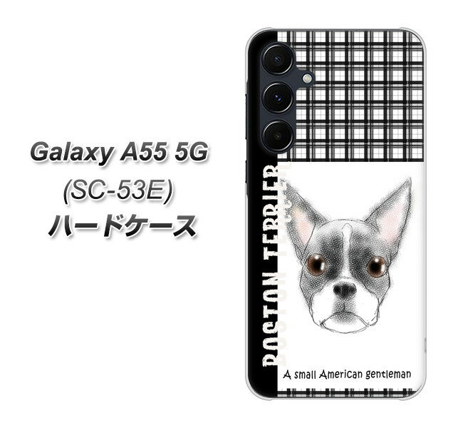 docomo Galaxy A55 5G SC-53E n[hP[X Jo[ yYD851 {XgeA02 UV fރNAz