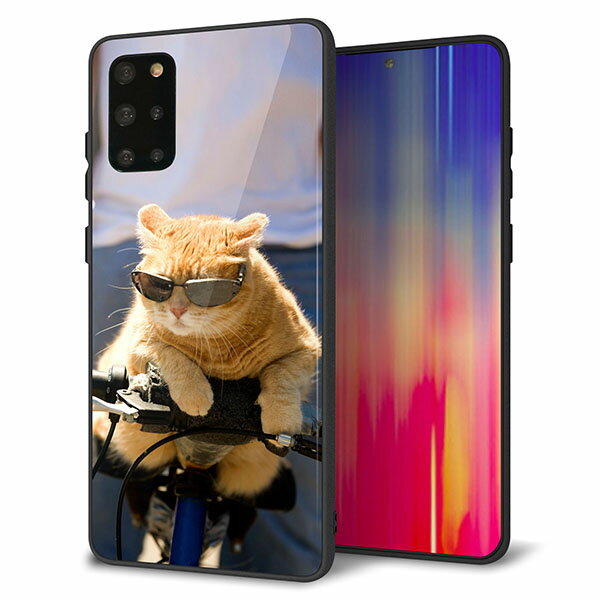 Rakuten - au Galaxy S20+ SCG02 ケース カバー スマホケース 背面 ガラス TPU ガラプリ 【にゃんとサイクル】 MMLM