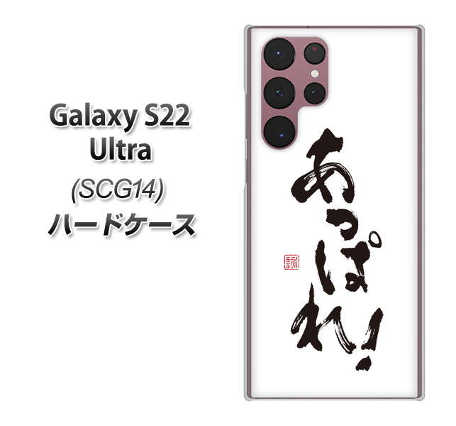 au Galaxy S22 Ultra SCG14 n[hP[X Jo[ yOE846 ςI UV fރNAz