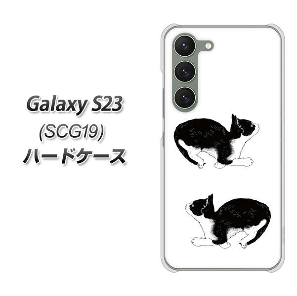 au Galaxy S23 SCG19 n[hP[X Jo[ yYJ161 lR ` CXg  UV fރNAz