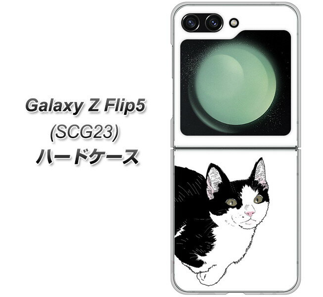 au Galaxy Z Flip5 SCG23 n[hP[X Jo[ yYJ159 lR ` CXg  UV fރNAz