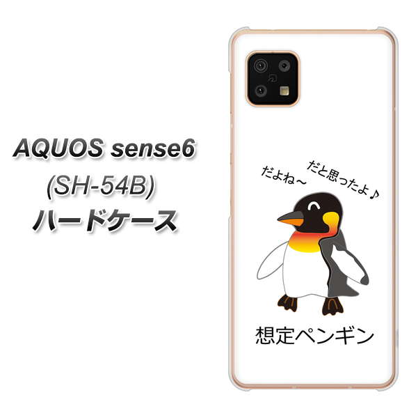 docomo AQUOS sense6 SH-54B n[hP[X / Jo[yVA925 zyM fރNAz UV 𑜓x(ANIX ZX6 SH-54B/SH54B/X}zP[X)