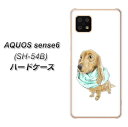 docomo AQUOS sense6 SH-54B n[hP[X Jo[ yYJ284 _bNXth  R 킢 UV fރNAz