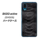 au BASIO active SHG09 ハードケース / カバー UV印刷 ★高解像度版(ベイシオ active SHG09/SHG09/スマホケース)