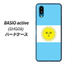 au BASIO active SHG09 ハードケース / カ