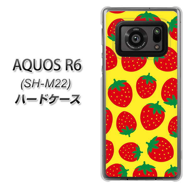 AQUOS R6 SH-M22 n[hP[X Jo[ ySC812 C`S͗l bhƃCG[ UV fރNAz