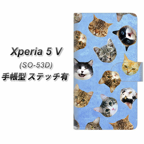 docomo Xperia 5 V SO-53D 蒠^ X}zP[X Jo[ yXeb`^CvzySC935 ˂ǂ u[ UVz