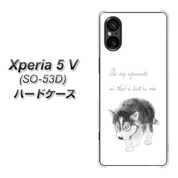 docomo Xperia 5 V SO-53D n[hP[X Jo[ yYJ194 nXL[  CXg 킢 UV fރNAz