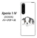 au Xperia 1 IV SOG06 n[hP[X Jo[ yYJ197  Dog {XgeA 킢 UV fރNAz