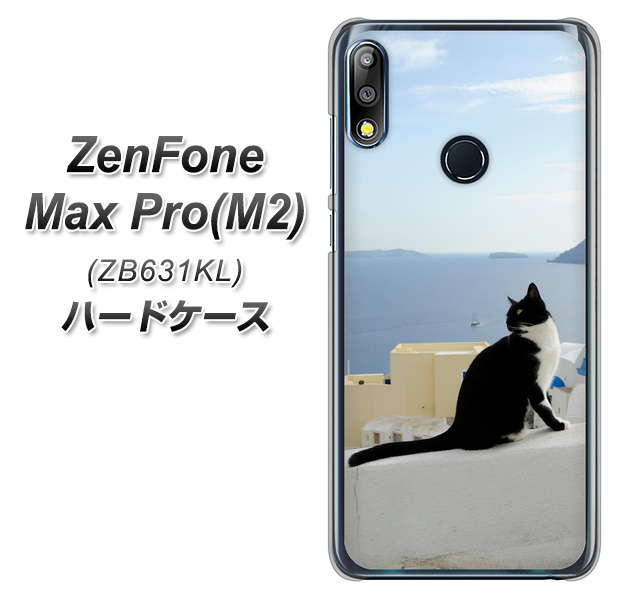 ZenFone Max Pro(M2) ZB631KL ハードケース / カバー【VA805 ネコと地中海 素材クリア】 UV印刷 ★高解像度版(ゼンフォンMax Pro(M2) ZB631KL/ZB631KL/スマホケース)