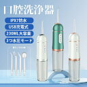 口腔洗浄器 USB充電式 歯磨き 口臭防止 高圧洗浄 歯石取り 携帯型 口腔洗浄機 ジェットウォッシャー 替えノズル プレゼント 口内洗浄機 2025最新型