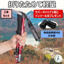 トレッキングポール 折りたたみ 登山 ストック 杖 つえ 登山用 ウォーキング用 収納袋付き 軽量 2本セット(4)