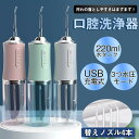 口腔洗浄器 usb充電式 電動 超音波 歯垢除去 ジェットウォッシャー 歯石取り 口腔ケア 携帯型 歯ブラシ ウォーターフロス 口内洗浄機 プレゼント