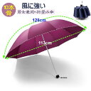 折り畳み傘 120cm 大判 雨傘 レディース メンズ 兼用 晴雨兼用 父の日 プレゼント ギフト 贈り物 梅雨 雨対策 手開き 手動式 男女兼用 撥水加工 軽量 耐久性 コンパクト 携帯便利 ビジネス おしゃれ 全国送料無料