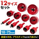 ホルソーセット バイメタルホルソー 12サイズ セット 工具 穴あけ 鉄板 木材 鉄鋼用 木工用 プラスチック 金属 ステンレス 耐摩耗 高硬度 耐荷重 プレゼ...