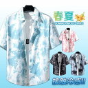 【夏の定番】接触冷感 カジュアルシャツ メンズ アロハシャツ 開襟 半袖 総柄 トップス 速乾 通気性 紫外線対策 プール 海 祭り 旅行 お兄系 男性用 シン...