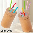 【期間限定!3280円→2080円】赤ちゃん おもちゃ 知育玩具 木のおもちゃ 型はめ チューブ おもちゃ 指先訓練 色の分類 色彩認識 手先の運動 出産祝い ...