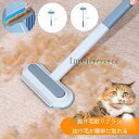 送料無料 抜け毛取りブラシ 抜け毛が簡単に取れる 窓クリーナー 猫 犬 毛取りブラシ 2個セット 抜け毛取りクリーナー 乾湿両用 多機能 ペット抜け毛 丸洗い可能 掃除ブラシ ミニブラシ付き 衣類 寝具 カーペット シート ソファー マルチクリーナーブラシ|詳細画像