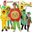 おもしろ 仮装 ハロウィーン衣装 子供 女の子 可愛い バラ コスプレ衣装 男の子 小学生 薔薇 植物 昆虫 向日葵 木 かわいい コスチューム キッズ 子供 ...