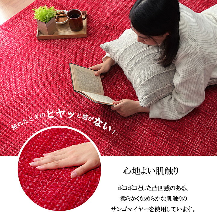 ラグ カーペット マット 珊瑚マイヤ 洗える 滑りにくい ブラウン 約185×185cm [3]