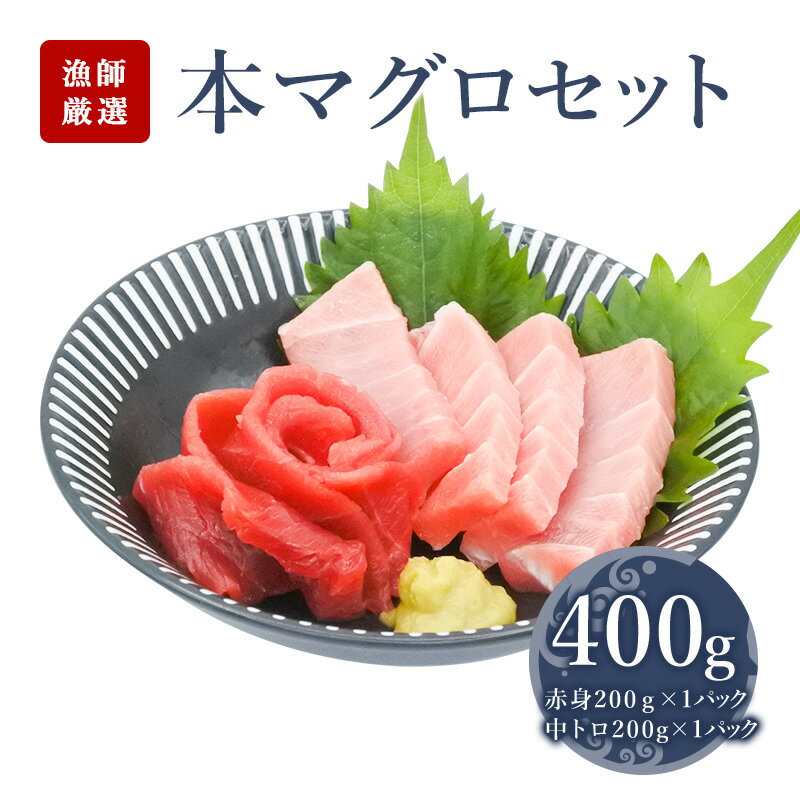 【 本鮪 セット400g（赤身200g　中トロ200g）】赤身 刺身 鮪 マグロ 本マグロ 中トロ 海鮮丼 手巻き寿司 お中元 お歳暮 御祝 内祝 ギフト 中落ち 冷凍まぐろ まぐろ切り落とし まぐろ お取り寄せ