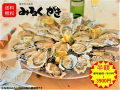 https://thumbnail.image.rakuten.co.jp/@0_mall/seafood-market/cabinet/biiino/item/main-image/20220603131459_1.jpg