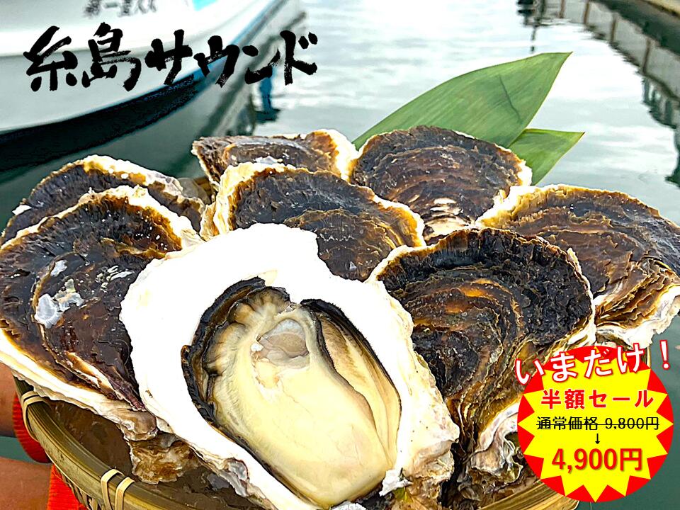 半額セール！糸島産 活 岩牡蠣 糸島サウンドLLサイズ 10個セット旬の食材 夏 産地直送 アウトドア バーベキュー BBQ グランピング キャンプ ワイン ビール 日本酒 活物 海産物 海鮮 生食 刺身 ギフト 通常価格9800円 ↓ 半額　4900円のサムネイル