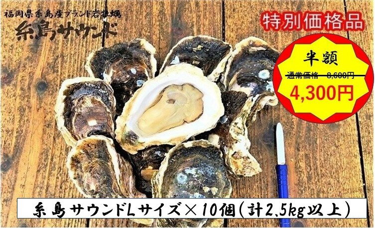半額セール 糸島サウンド Lサイズ 10個（合計2.5kg以上）産地直送 生食用　半額　BBQ お刺身 ギフト 贈り物　 糸島産 岩牡蠣 岩かき 牡蠣 かき 【送料無料】 　　　　↓のサムネイル