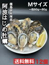 徳島県阿南産 阿波はじめ牡蠣 Mサイズ 12個殻付き 活牡蠣 生食可
