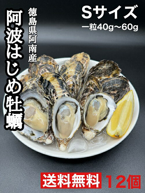 徳島県阿南産 阿波はじめ牡蠣 Sサイズ 12個殻付き 活牡蠣 生食可