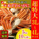 カニ 訳あり ずわいがに 肩 脚 大容量 特大 5kg 生と...