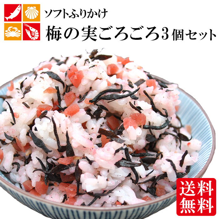 ソフトふりかけ 梅の実ごろごろ 遅れてごめんね 母の日 お祝い 40g×3個 セットひじきごはん ふりかけ 梅ひじき お弁当 おにぎり 高級 サラダ 送料無料 ポイント消化 お礼 のし対応