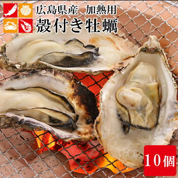 広島産 殻付き 牡蠣 10個 カキ かき 貝 シーフード 冷凍 バーベキュー 国産 BBQ 海鮮 簡単調理 アウトドア 母の日
