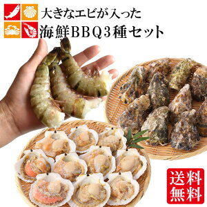 【今だけ20%OFF!5/16まで！】海鮮 BBQ セット ホタテ 牡蠣 ブラックタイガー 3種 貝 海老 アウトドア バーベキュー 自宅調理 帆立 カキ えび キャンプ お取り寄せグルメ 高級 ギフト