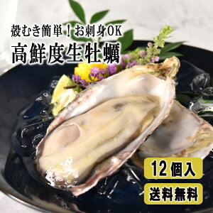 あす楽 年末指定可 生食 OK 殻付き 牡蠣 国産 生牡蠣 兵庫県産 12個 オイスターバー カキ かき 刺し身 オイスター 生カキ 前菜 生食用 短冊 のし対応 海鮮 BBQ お歳暮 冬ギフト 浜焼き