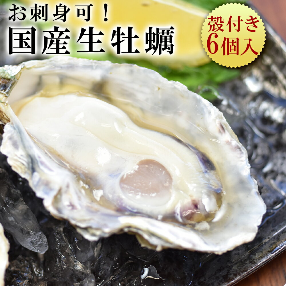 生食用 殻付き 牡蠣 国産 兵庫県産 6個入り 海鮮ギフト オイスターバー 前菜 カキ かき 刺し身 オイスター 生カキ 生食 ギフト お祝い 海の幸 お礼 短冊 のし対応 シーフード 魚介 海鮮 ひな祭り カンカン焼き