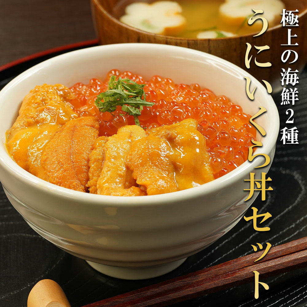 醤油イクラ あす楽 うに イクラ 丼 セット 遅れてごめんね 母の日 お祝い 海鮮丼 無添加 いくら 醤油漬け 雲丹 ウニ マスいくら ますいくら どんぶり 冷凍 海鮮ギフト ギフト 魚卵 おうちごはん 海の幸 お取り寄せグルメ