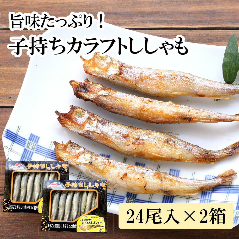 あす楽 子持ち カラフト ししゃも 24尾 2箱 セット 遅れてごめんね 母の日 お祝い ギフト 送 ...