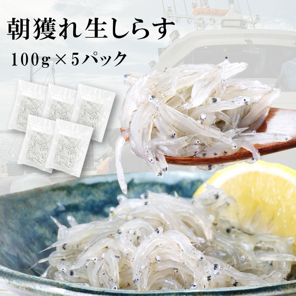 海鮮丼 あす楽 遅れてごめんね 母の日 お祝い 瀬戸内海産 刺身用 生しらす 100g 5パック セット シラス 天然 無添加 小分けサイズ ギフト 御祝 内祝 シラス丼 しらす丼 海鮮丼 生食 釜揚げ お寿司 ネタ