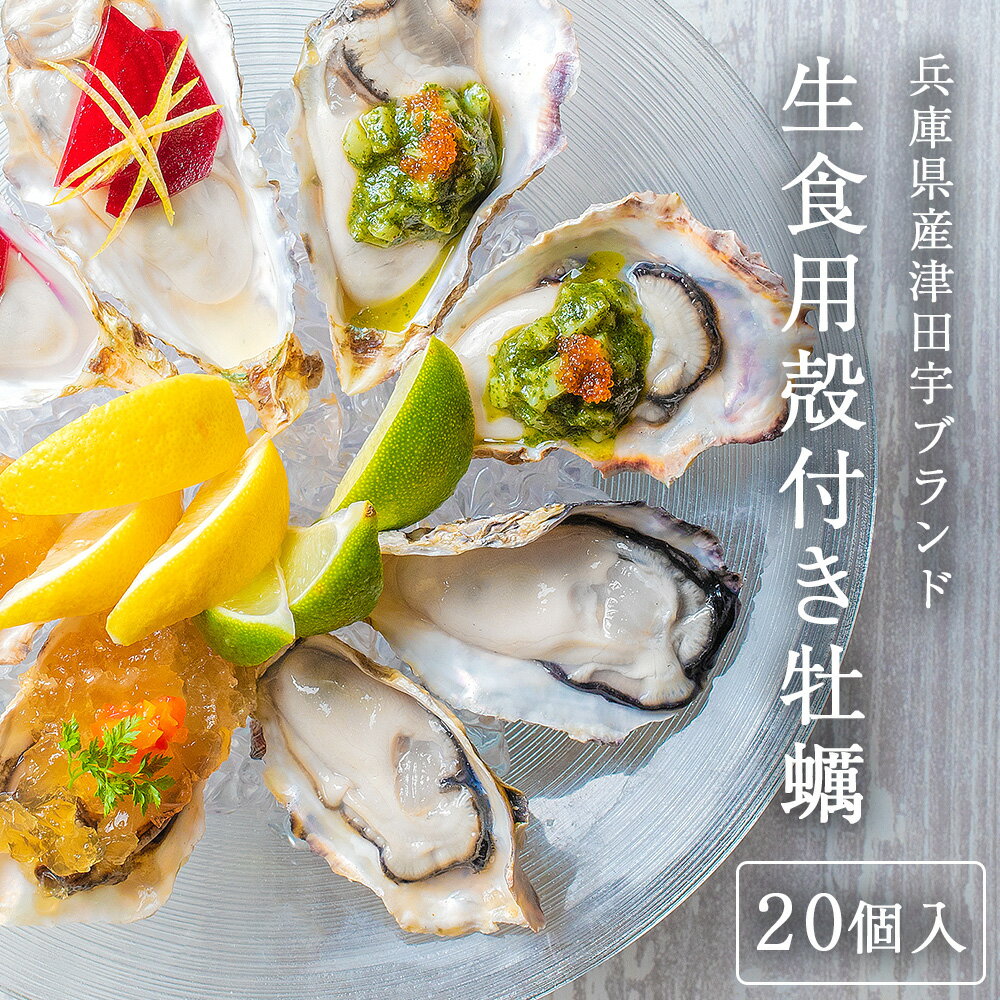 【今だけ10%OFF！5/16まで！】遅れてごめんね 母の日 生食用 殻付き 牡蠣 20個 津田宇 カキ 大粒 お刺身 BBQ かき ギ…