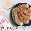 海老鍋セット 御中元 お中元 エビ 海鮮だし塩 甘海老 塩 出汁 えび 殻付き 2人前 3人前 冷凍 ギフト 鍋 BBQ バーベキュー 詰め合わせ お得 セット