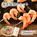 海老塩焼きセット 御中元 お中元 エビ 海鮮だし塩 甘海老 塩 出汁 えび 殻付き 2人前 3人前 冷凍 ギフト アウトドア BBQ バーベキュー キャンプ飯 浜焼き 海鮮 詰め合わせ お得 セット